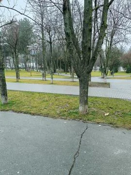 Park view on a cloudy day. Stock Photos