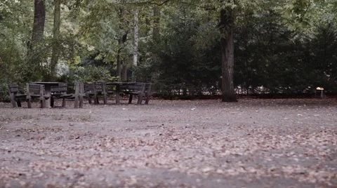 Park View Video stock 68194520