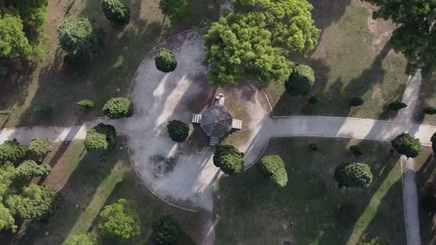 Park view Video stock 169653832