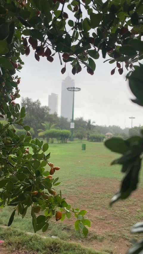 The park view Stock Footage 280641238