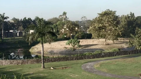 Park view pan shot Stock Footage 74686116