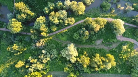 Park view with paths and a river in summer Stock Footage 120599926