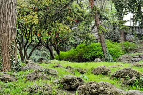 Park view Stock Photos