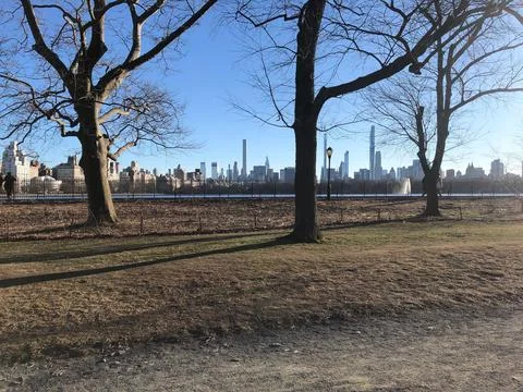 Park View Stockfoto's