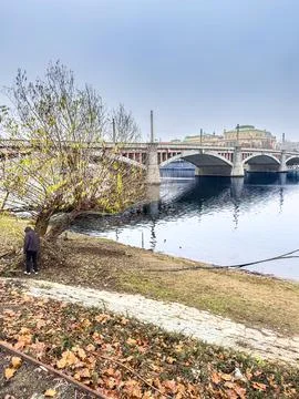 Park View of a River, Bridge, and Cityscape 스톡 사진