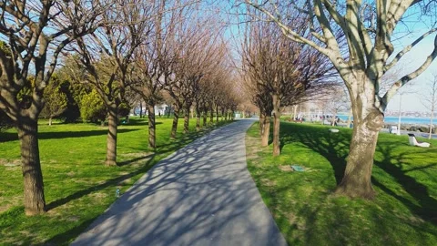 Park with View of Sea Beyond Trees, 4k Stock Footage 314466598