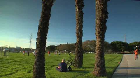 Park View Tel Aviv Day Stock Footage 25180129