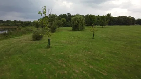 Park view with trees and a lake Video stock 137428493