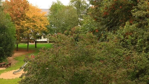 Park view from the window Stock Footage 119870840