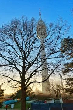 Park Viewing Tower Structure 库存照片