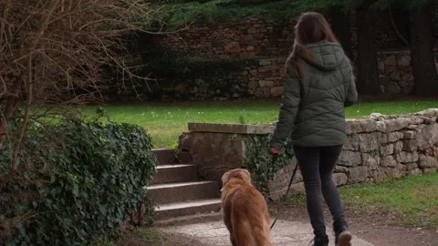 Park Walk with Dog. Stock Footage 262638806