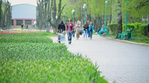 Park walk Stock Footage 47847048