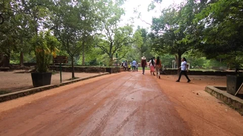 Park walk 動画素材 160129358