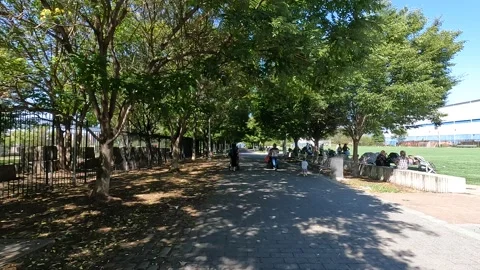 Park Walk Stock-Footage 211140685