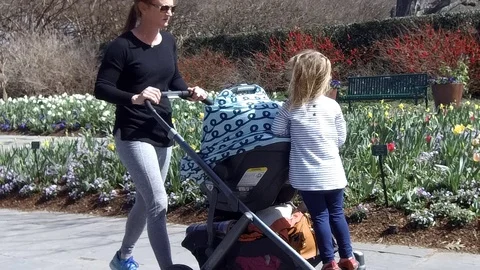 Park Walking Stock Footage 107689929