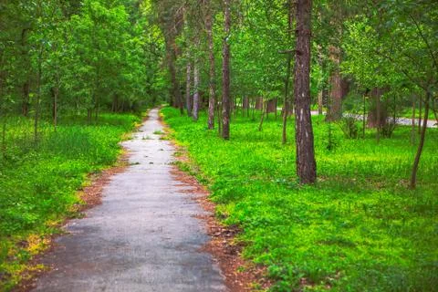 Park walking path Stock Photos