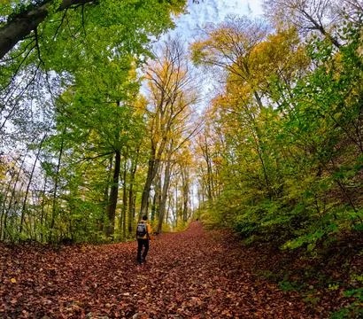 Park walking Stock Photos