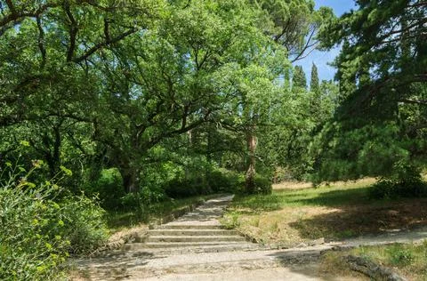 Park, walking track Stock Photos