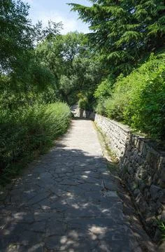 Park, walking track Stock Photos