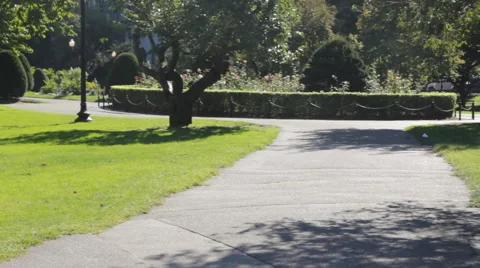 Park Walkway Stock Footage 40804788
