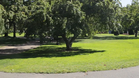 Park Walkway II Video stock 40804760