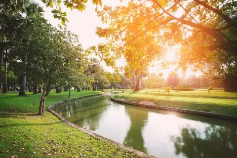 Park with warm light Stock Photos