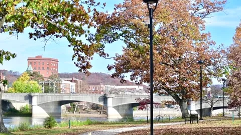 Park warren slowmo Stock Footage 255294460