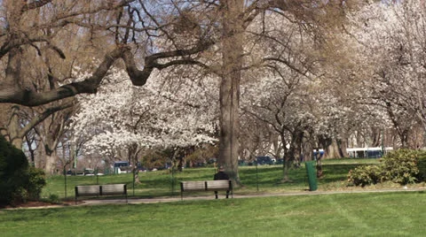 Park, Washington DC Stock Footage 24614546