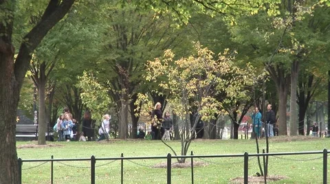 Park in Washington DC Видео 50984433