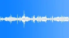 Park Water Birds Ambience 02 Sound Effect