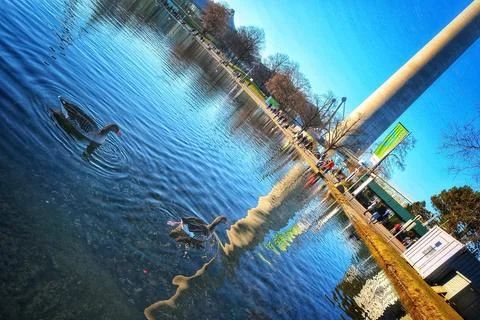 Park Water Feature 库存照片