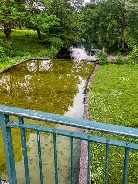 Park Water 库存照片
