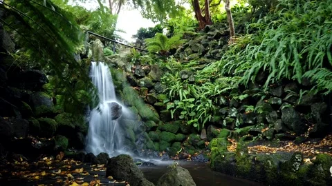 Park Waterfall Stock Footage 133707788