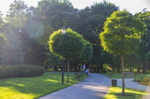 Park in Wejherowo Stock Photos