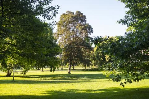 Park in Wejherowo Stock Photos
