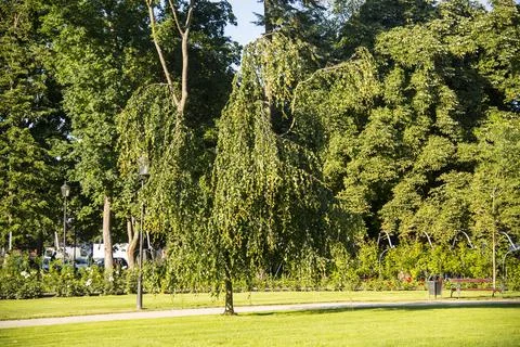 Park in Wejherowo Stock Photos