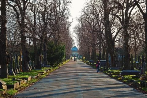 Park with a wide pathway Foto stock
