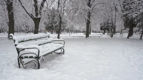 Park in winter with a bench Video stock 220432568