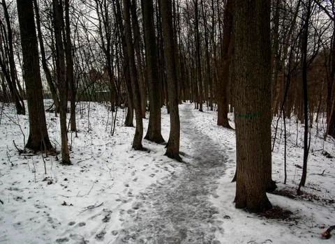 Park in winter on a cloudy day Stock Photos