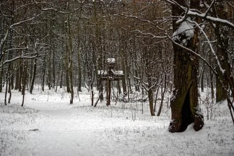 Park in winter on a cloudy day Foto stock