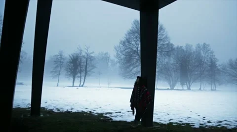 Park in winter Stock Footage 19556464