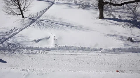 Park winter Video stock 22608559