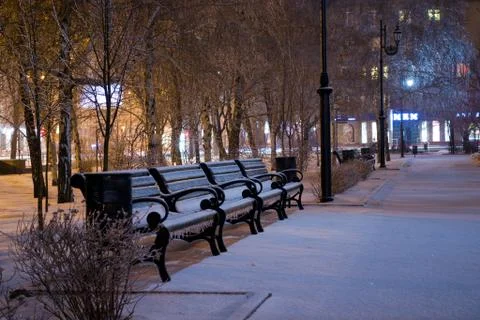 Park at winter night Foto stock