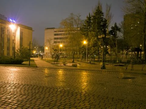 Park at winter night Stock Photos