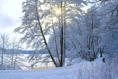 Park in winter Stock Photos