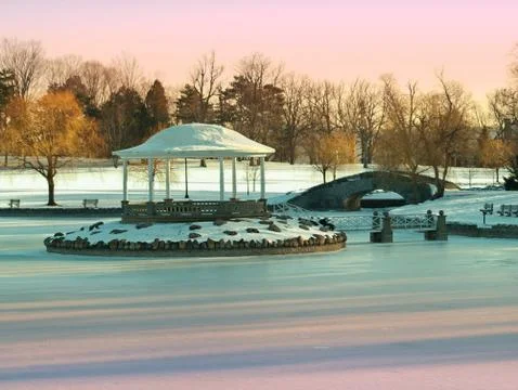 Park in winter Stock Photos