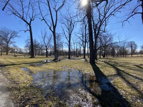 A Park in Winter Stock Photos