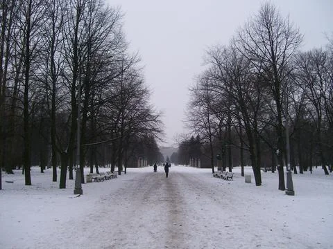 Park in winter Foto stock