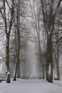 Park in winter time. Path in the snowy park. Trees covered with snow in a cit Stock Photos