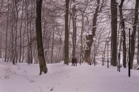 Park in winter time. Path in the snowy park. Trees covered with snow in a cit Stock Photos